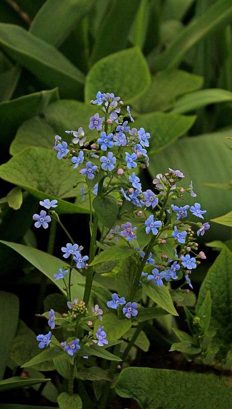 ����������� ����� �����  �� PhotoGeek.ru #������ ��� ������� #����� �������������� #���������