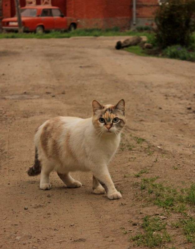 �����������) ����� �����  �� PhotoGeek.ru #������ ��� ������� #����� ��������������