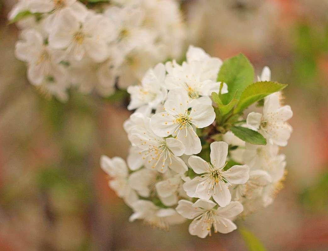 �������� ����) ����� �����  �� PhotoGeek.ru #������ ��� ������� #����� ��������������