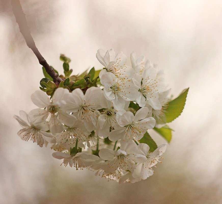 ������� ����� �����  �� PhotoGeek.ru #������ ��� ������� #����� ��������������