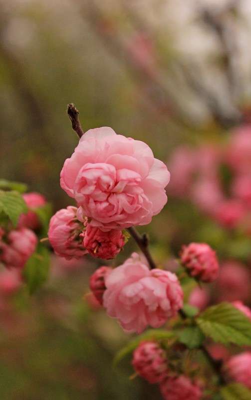 ������� ����� �����  �� PhotoGeek.ru #������ ��� ������� #����� ��������������