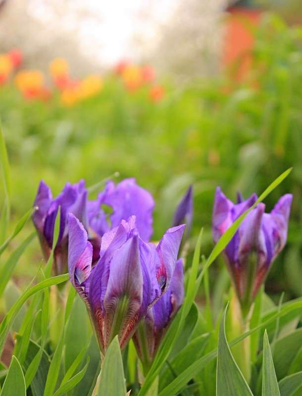 ������ ����� �����  �� PhotoGeek.ru #������ ��� ������� #����� �������������� #����� ��������