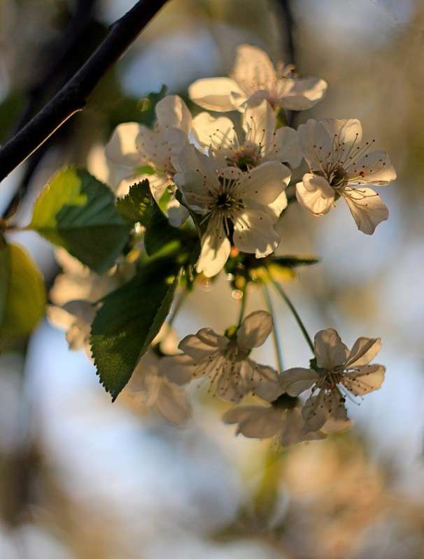 �������� ���������� ����� �����  �� PhotoGeek.ru #������ ��� ������� #����� ��������������