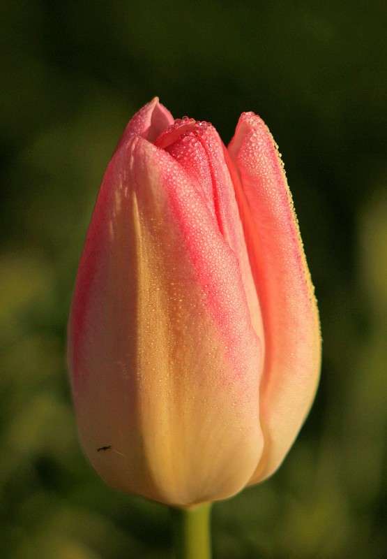 ������� ����� �����  �� PhotoGeek.ru #������ ��� ������� #����� ��������������