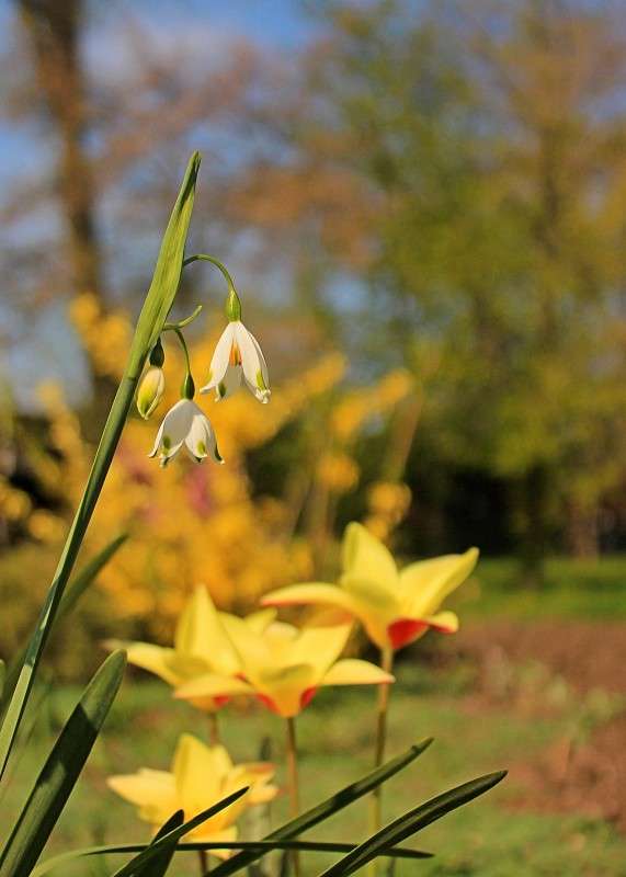 � ������ ����� ����� �����  �� PhotoGeek.ru #������ ��� ������� #����� ��������������