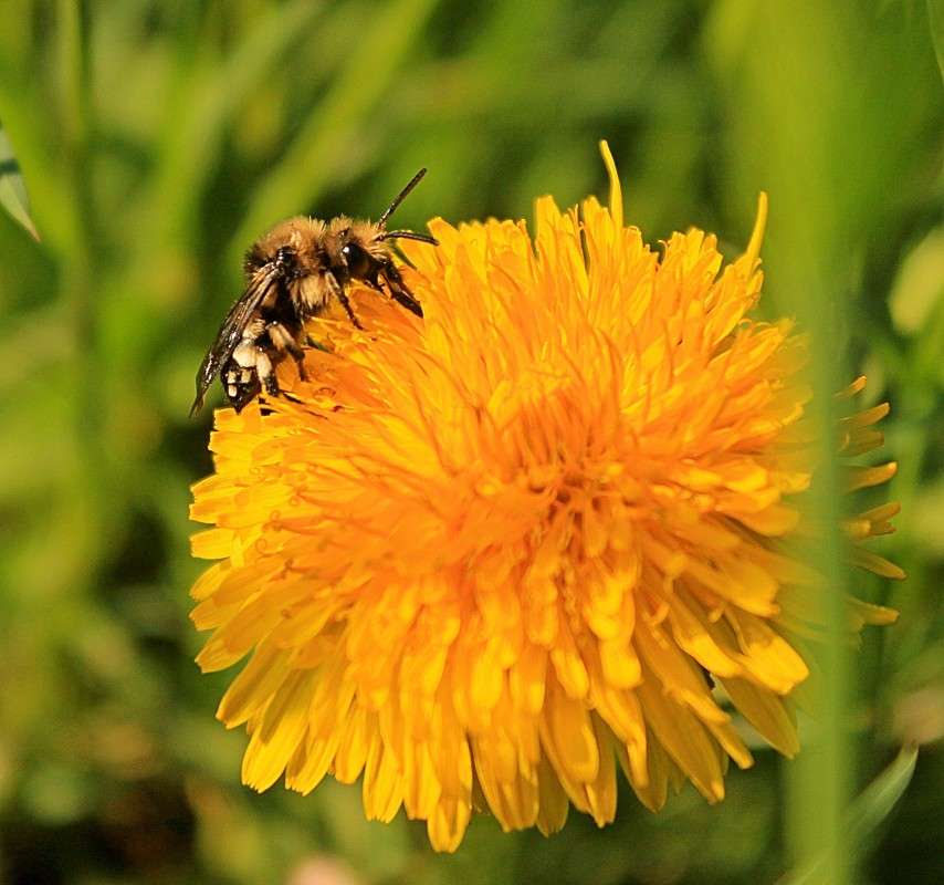 ���� �� �������� ����� �����  �� PhotoGeek.ru #�������� ��� #������ ��� ������� #����� ��� ��� ��������� #����� �������������� #���������