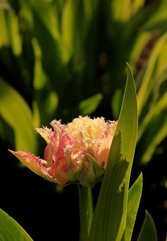 ��������� ����� �����  �� PhotoGeek.ru #������ ��� ������� #����� ��������������