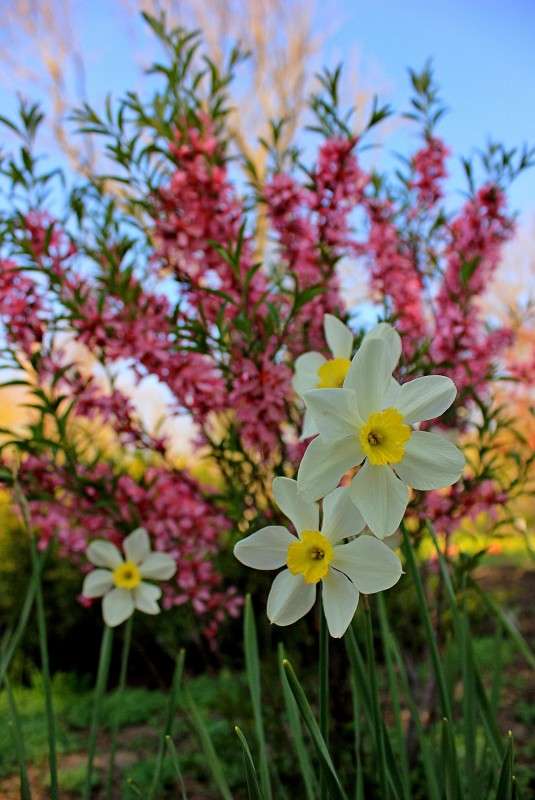 �� ������� ���� ����� �����  �� PhotoGeek.ru #������ ��� ������� #����� ��������������