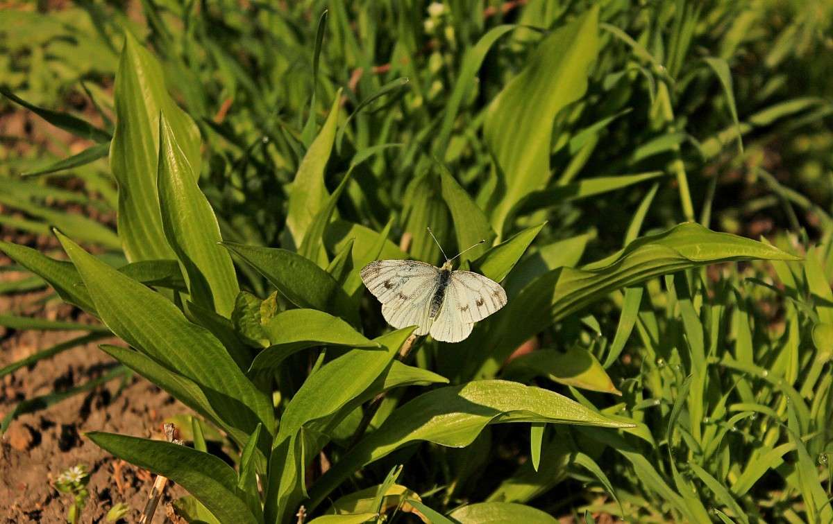 ... ����� �����  �� PhotoGeek.ru #�������� ��� #����� ��� ��� ���������