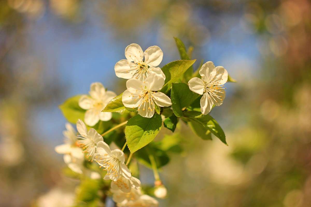 ����� ����� �����  �� PhotoGeek.ru #������ ��� ������� #����� ��������������