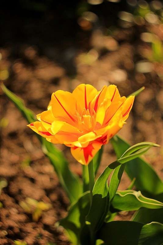 ��������� ����� �����  �� PhotoGeek.ru #������ ��� ������� #����� ��������������