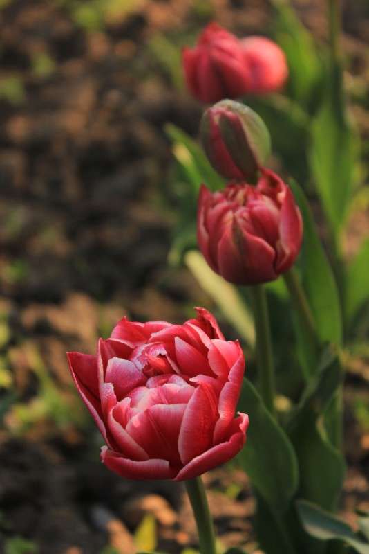 ����� ����� �����  �� PhotoGeek.ru #������ ��� ������� #����� ��������������