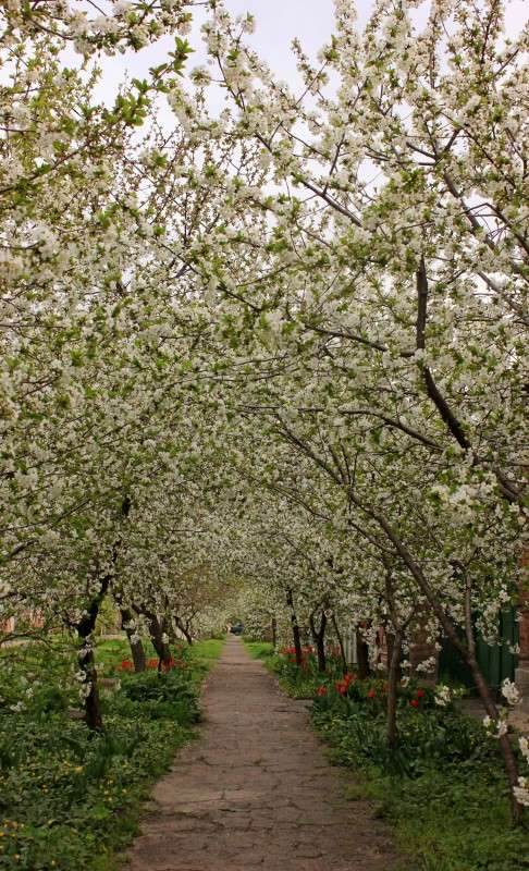 ������� ����� �����  �� PhotoGeek.ru #������ ��� ������� #����� ��������������