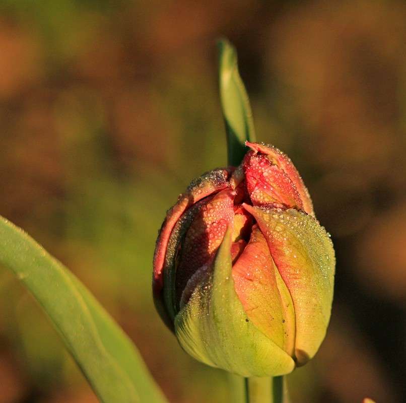 ����� ��������� ���� ����� �����  �� PhotoGeek.ru #������ ��� ������� #����� ��������������