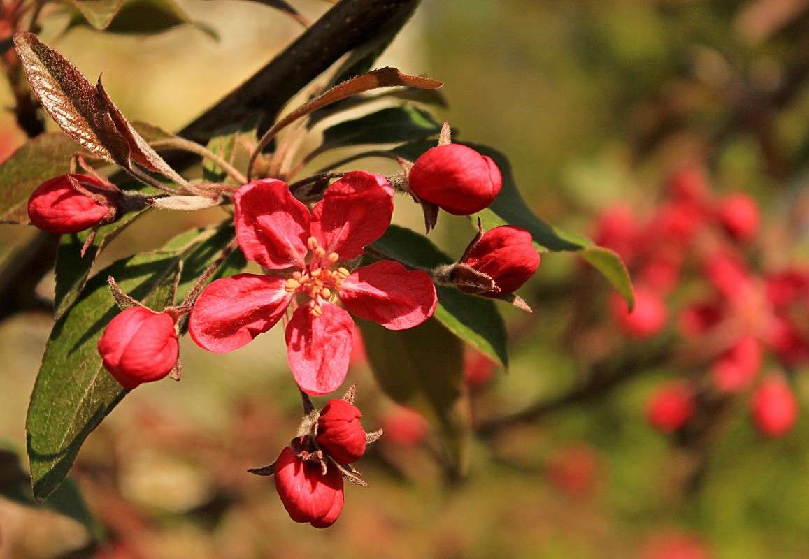 �������� ����� �����  �� PhotoGeek.ru #������ ��� ������� #����� ��������������