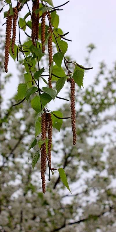 �� ����� ���� ����� �����  �� PhotoGeek.ru #������ ��� ������� #����� ��������������