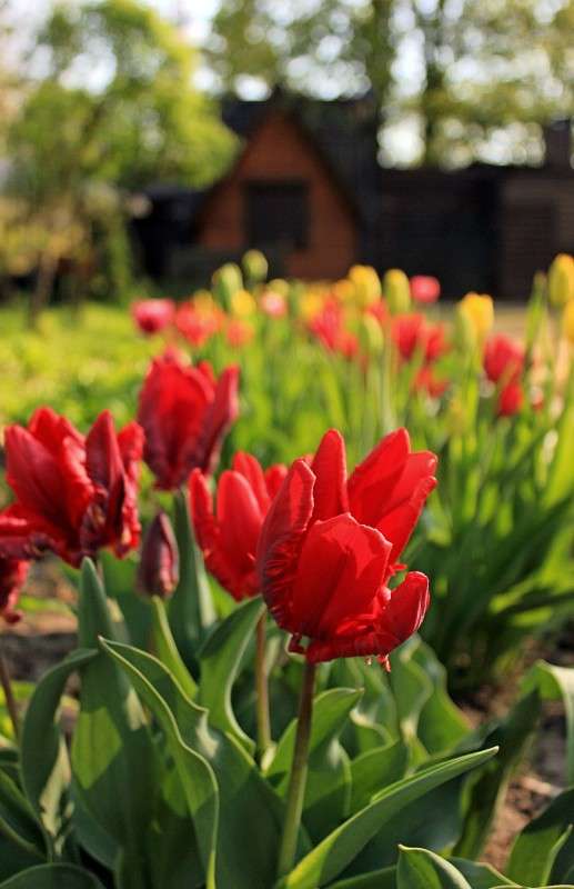 ������� ������� ����� �����  �� PhotoGeek.ru #������ ��� ������� #����� ��������������