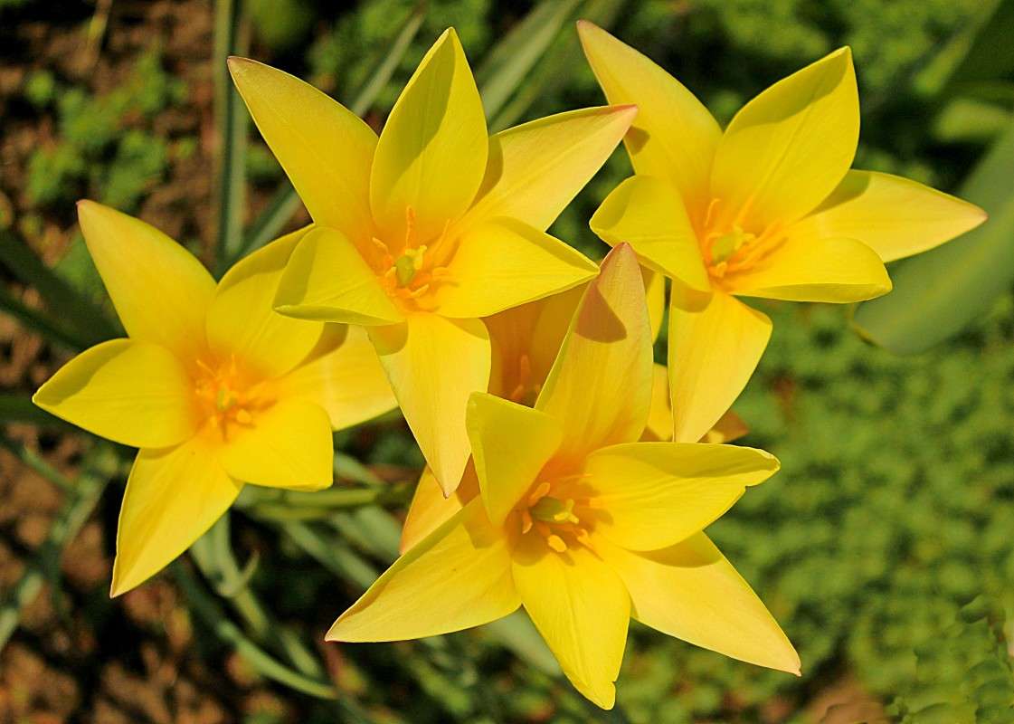 �������� ����� �����  �� PhotoGeek.ru #������ ��� ������� #����� ��������������