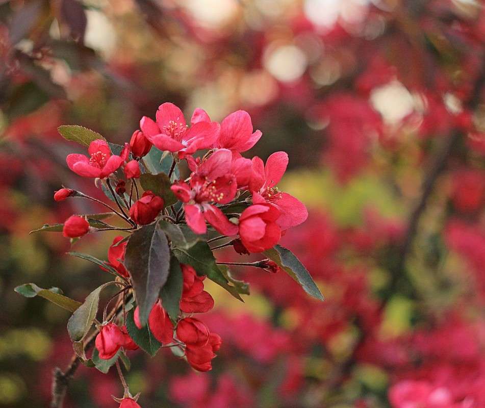 ������� ������� ����� �����  �� PhotoGeek.ru #������ ��� ������� #����� ��������������