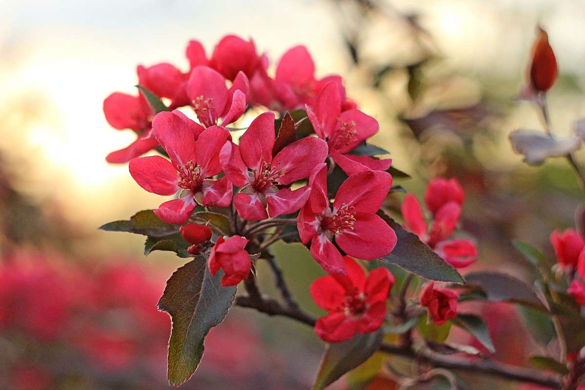 ������� ������� 1 ����� �����  �� PhotoGeek.ru #������ ��� ������� #����� ��������������