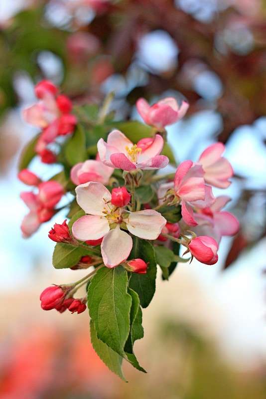 ������ ������� ����� �����  �� PhotoGeek.ru #������ ��� ������� #����� ��������������