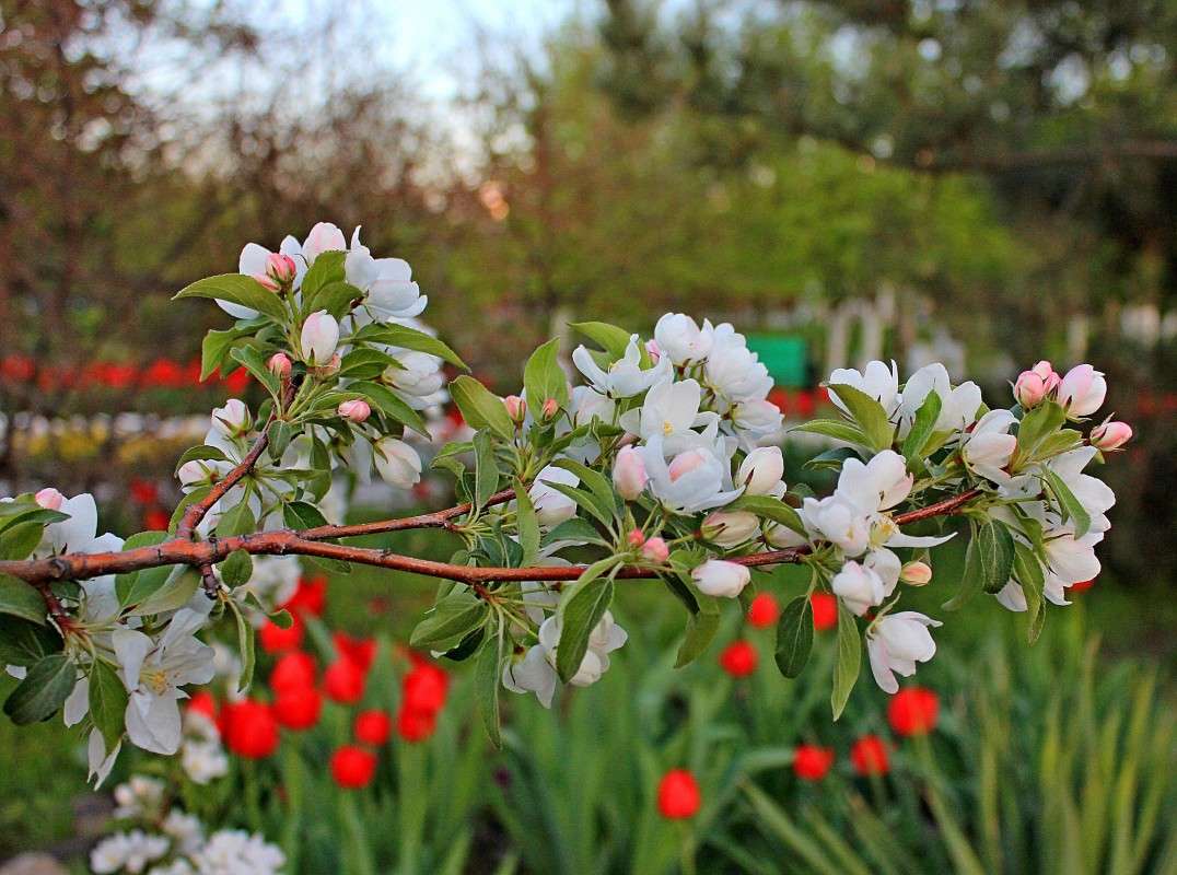 ������ ����� �����  �� PhotoGeek.ru #������ ��� ������� #����� ��������������