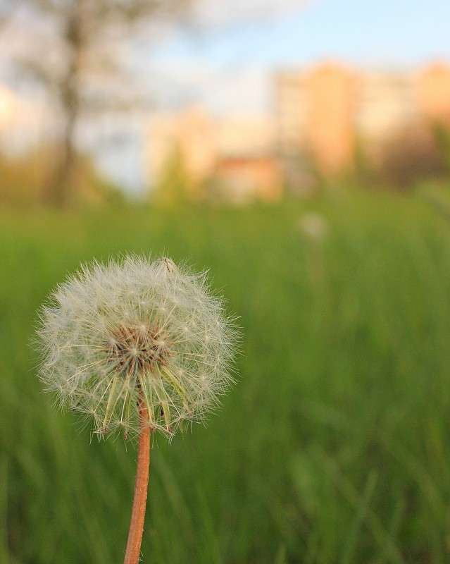 ������ ����� �����  �� PhotoGeek.ru #������ ��� ������� #����� ��������������