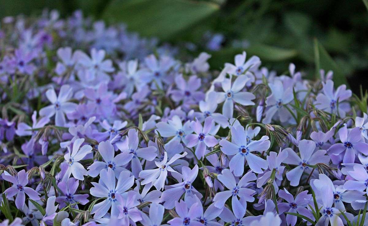 ������� ����� ����� �����  �� PhotoGeek.ru #������ ��� ������� #����� ��������������