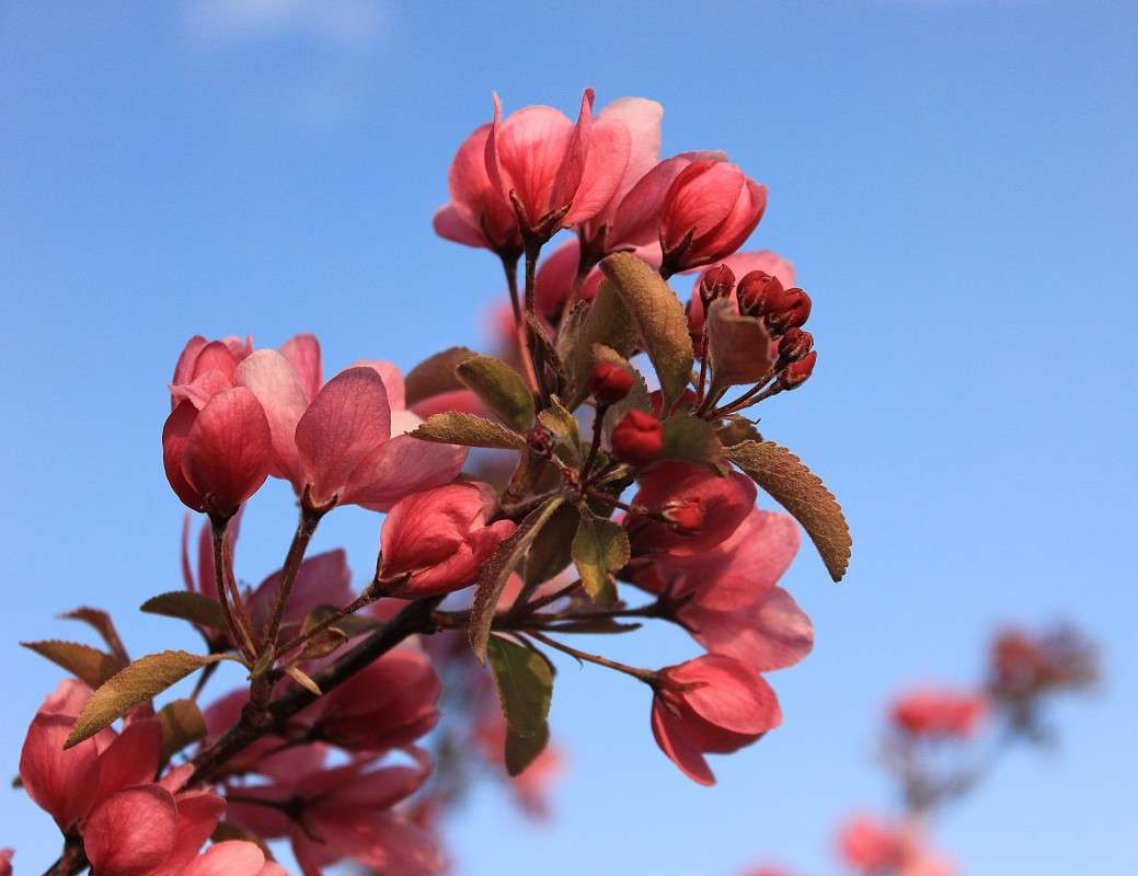 ����� ����� �����  �� PhotoGeek.ru #������ ��� ������� #����� ��������������