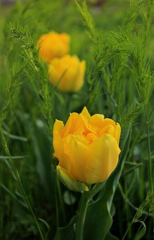 ���������� ����� ���� ����� �����  �� PhotoGeek.ru #������ ��� ������� #����� ��������������