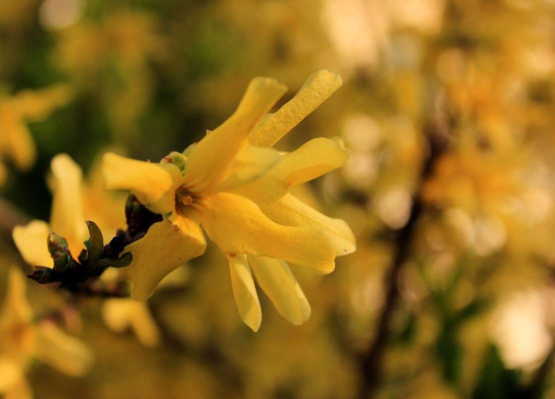 ��������� ����� �����  �� PhotoGeek.ru #������ ��� ������� #����� ��������������