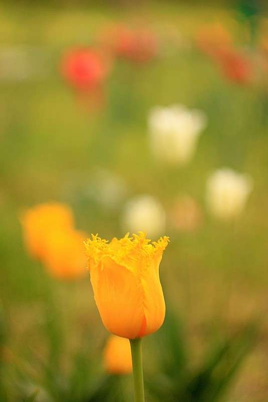 ����� ����� �����  �� PhotoGeek.ru #������ ��� ������� #����� ��������������