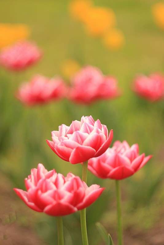 ����� ����� �����  �� PhotoGeek.ru #������ ��� ������� #����� ��������������