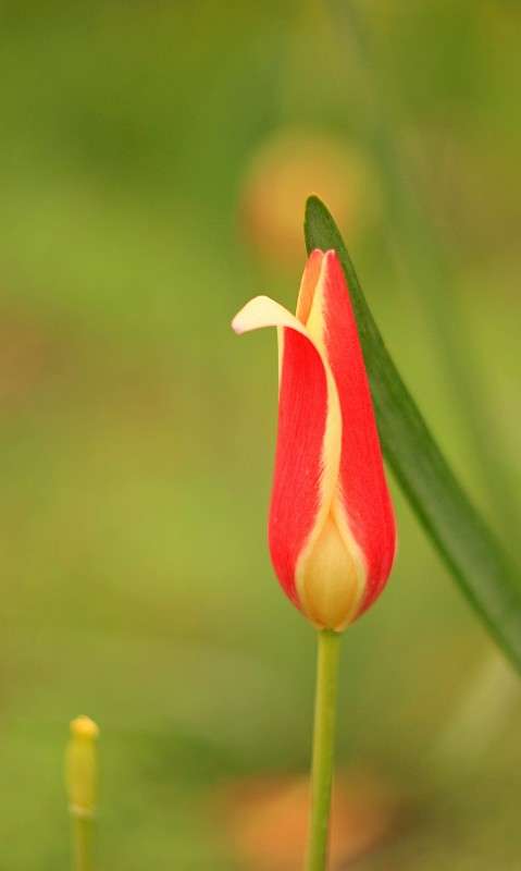 �������� ����� �����  �� PhotoGeek.ru #������ ��� ������� #����� ��������������