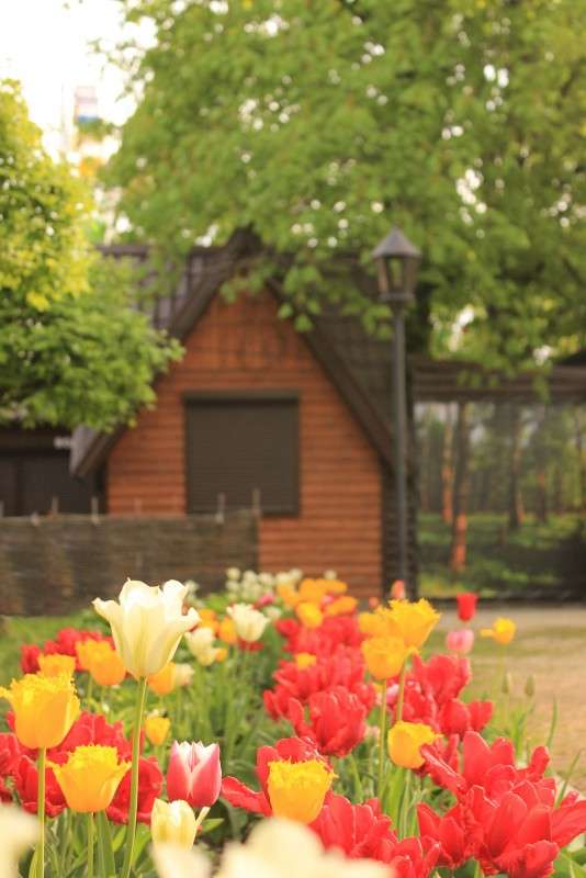 �������� �...���� ����� �����  �� PhotoGeek.ru #������ ��� ������� #����� �������������� #���������