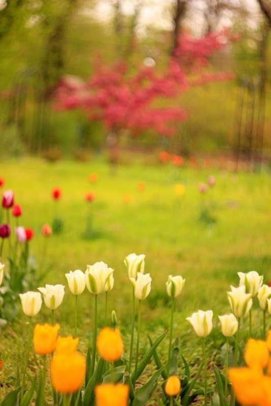 ������ ����� �����  �� PhotoGeek.ru #������ ��� ������� #����� ��������������