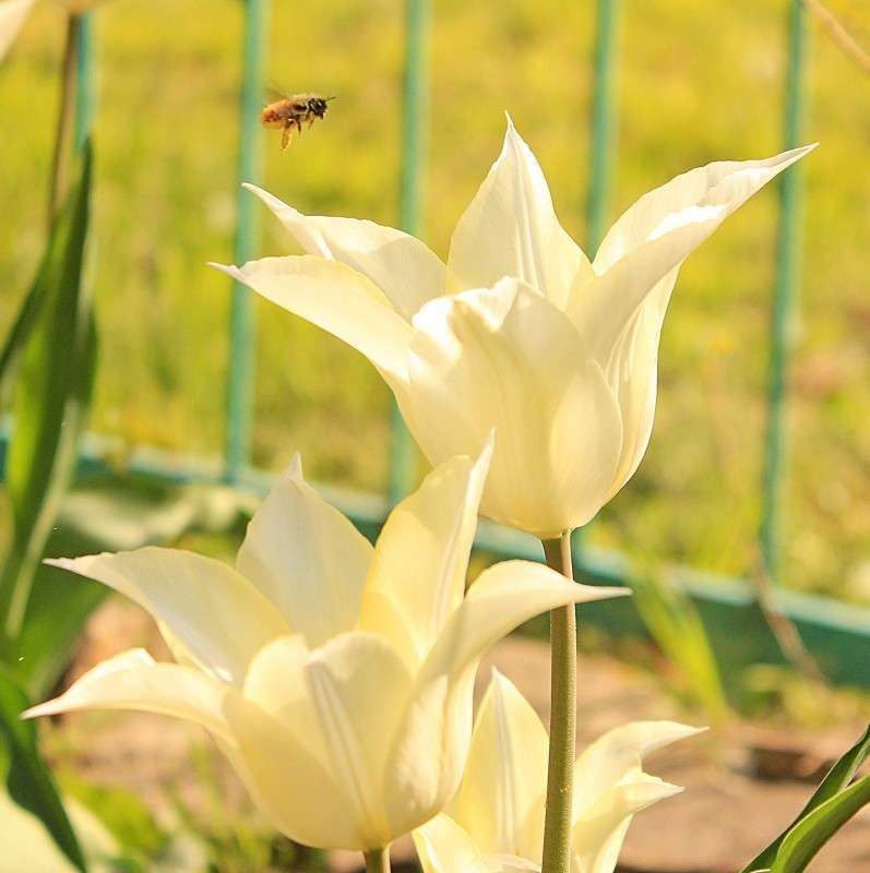 ���� ���� ����� �����  �� PhotoGeek.ru #������ ��� ������� #����� ��������������