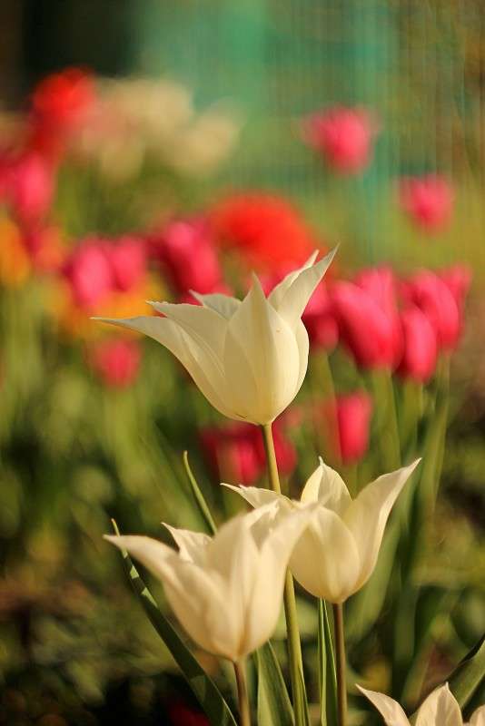 ����� �������� ����� �����  �� PhotoGeek.ru #������ ��� ������� #����� ��������������