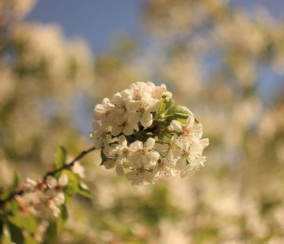 ... ����� �����  �� PhotoGeek.ru #������ ��� ������� #����� ��������������