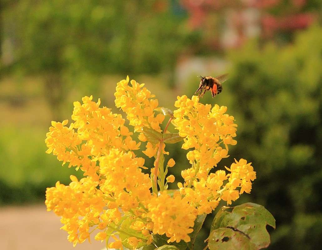 ������ ����� ����� �����  �� PhotoGeek.ru #������ ��� ������� #����� ��������������