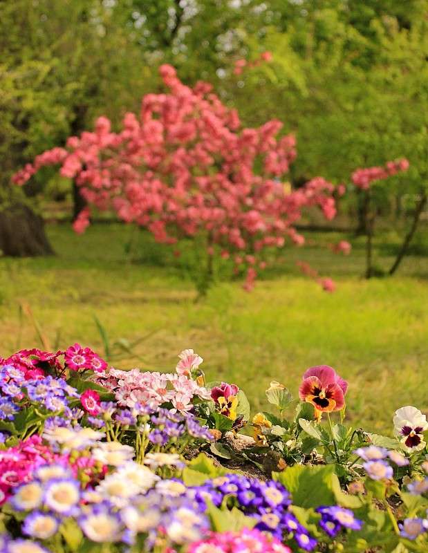 ����� ������ ����� �����  �� PhotoGeek.ru #������ ��� ������� #����� ��������������