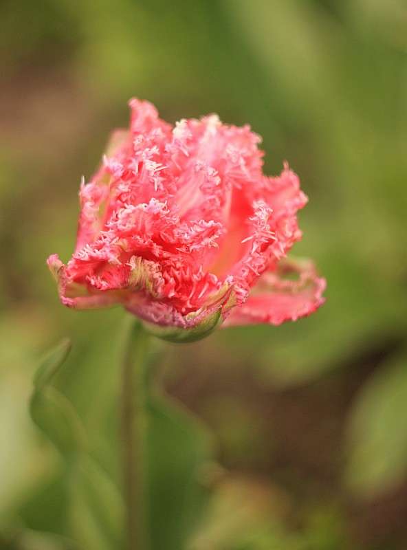 �������� ����� �����  �� PhotoGeek.ru #������ ��� ������� #����� ��������������