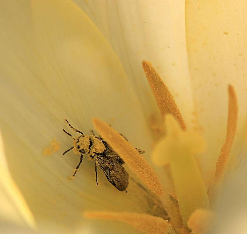 ���������� ����� �����  �� PhotoGeek.ru #�������� ��� #������ ��� ������� #����� ��������������