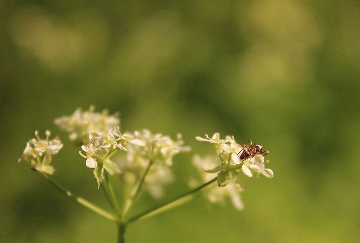 ... ����� �����  �� PhotoGeek.ru #������ ��� ������� #����� ��������������