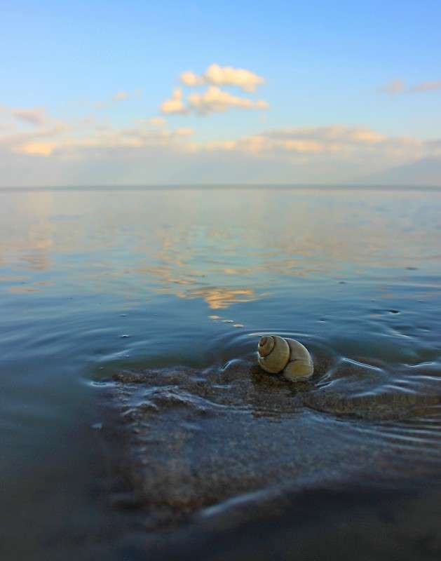 ... ����� �����  �� PhotoGeek.ru #������ ��� ������� #����� ��������