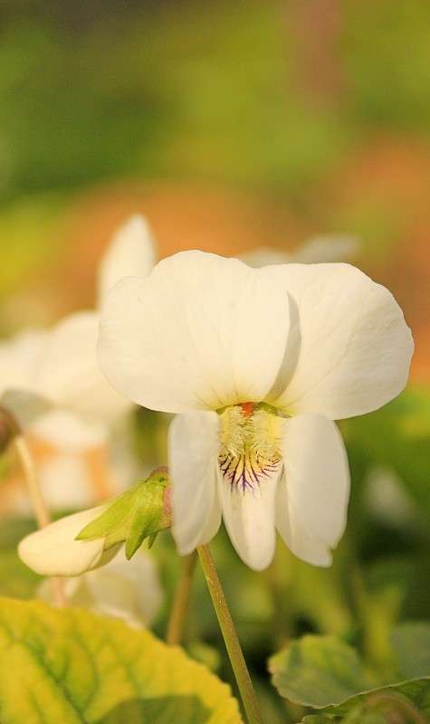 ������ ����� �����  �� PhotoGeek.ru #������ ��� ������� #����� ��������������