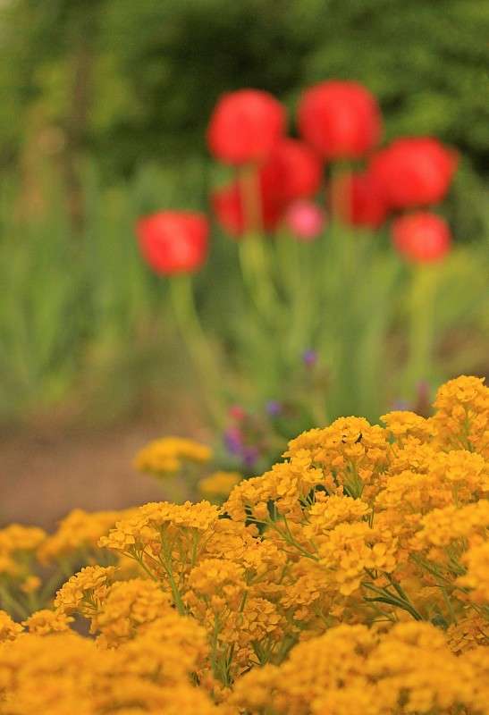 ����������� ����� �����  �� PhotoGeek.ru #������ ��� ������� #����� ��������������