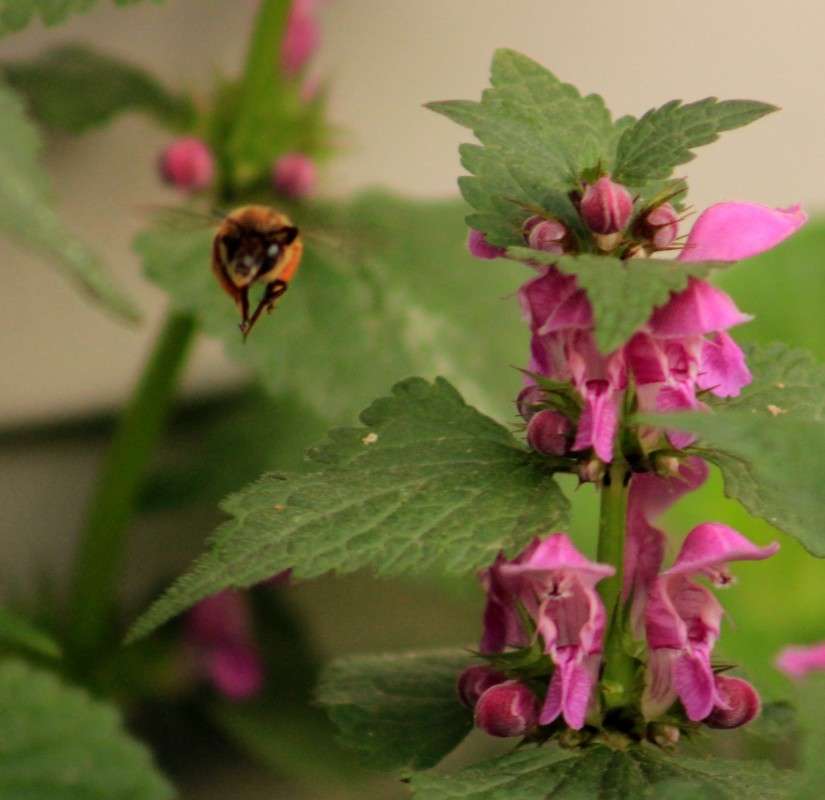 ...����� � ��� � ��� ����� �����  �� PhotoGeek.ru #�������� ��� #������ ��� ������� #����� ��������