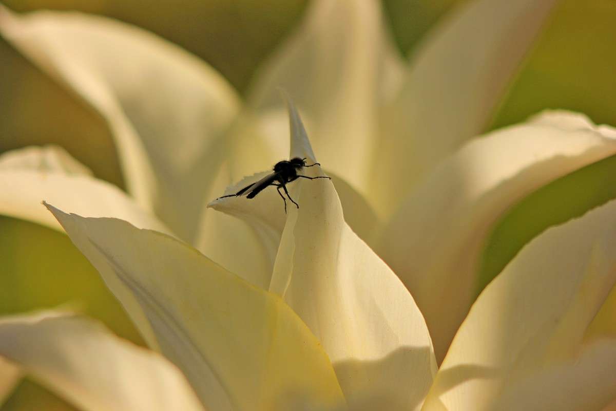 ��������� ����� �����  �� PhotoGeek.ru #�������� ��� #������ ��� ������� #����� ��� ��� ��������� #����� ��������������