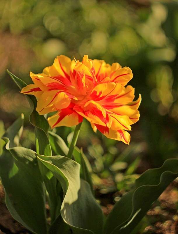 ���������� �� �������� ����� �����  �� PhotoGeek.ru #������ ��� ������� #����� ��������������